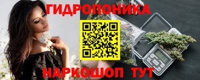 прущие крисы Ипатово
