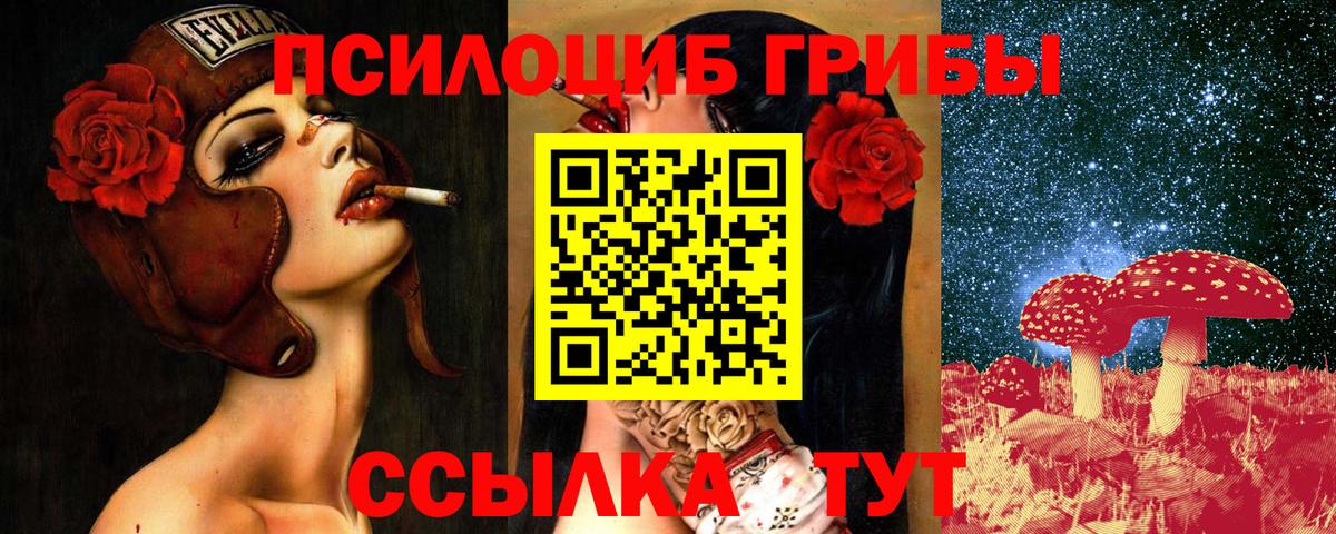 Псилоцибиновые грибы Cubensis  Вход с VPN  закладки  Кондопога 